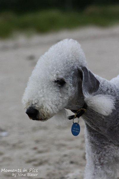 2010-06-26 Arc-en-ciel Arlequin (4).jpg